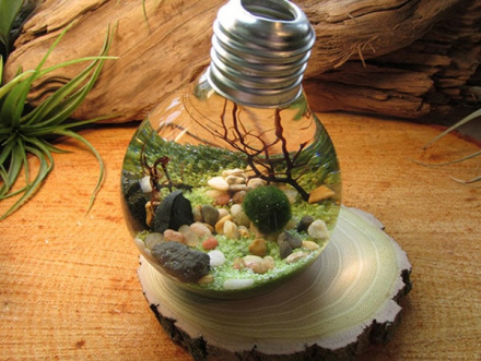 deco-recyclage-terrarium.jpg